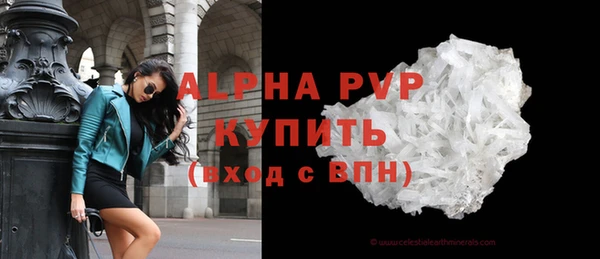 шишки Няндома