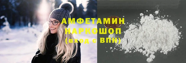 шишки Няндома