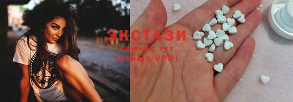 шишки Няндома