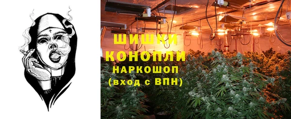 прущие крисы Нягань