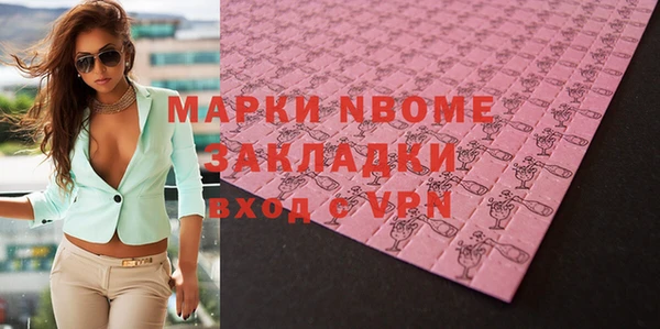 шишки Няндома