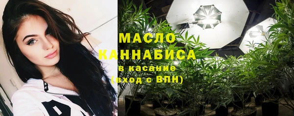 шишки Няндома