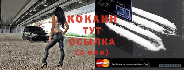 шишки Няндома