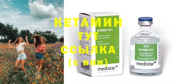шишки Няндома