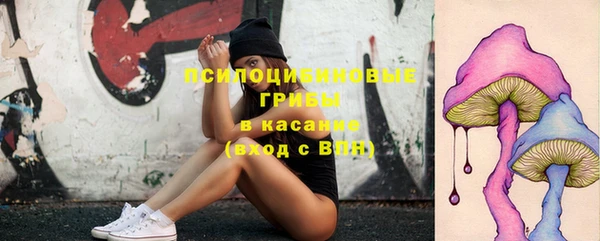 гидропоника Новодвинск
