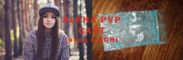 шишки Няндома