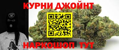 сатива Балаково
