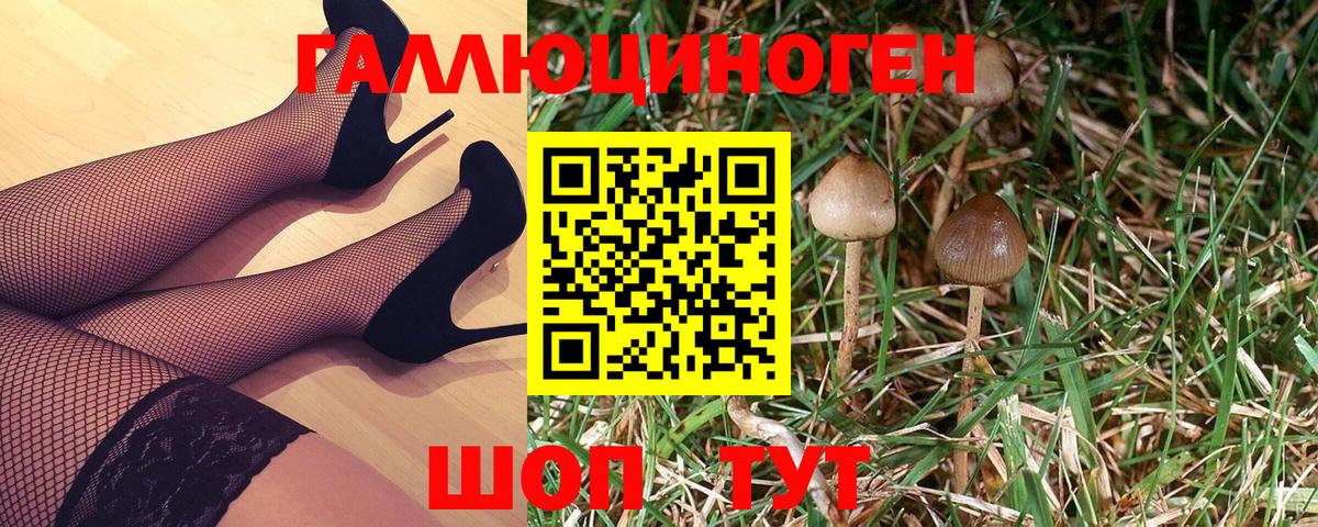 купить  цена  Кумертау  Галлюциногенные грибы MAGIC MUSHROOMS  Галлюциногенные грибы мицелий 