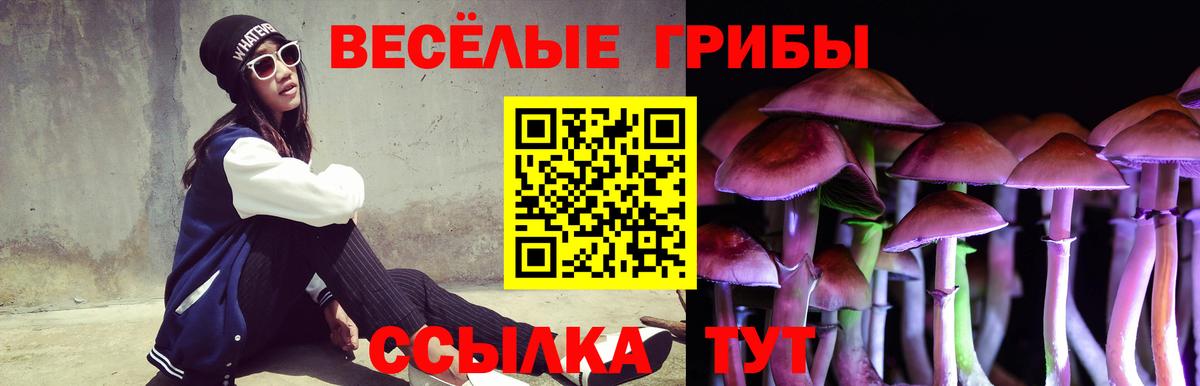 Галлюциногенные грибы GOLDEN TEACHER  Вход с VPN  Кумертау 